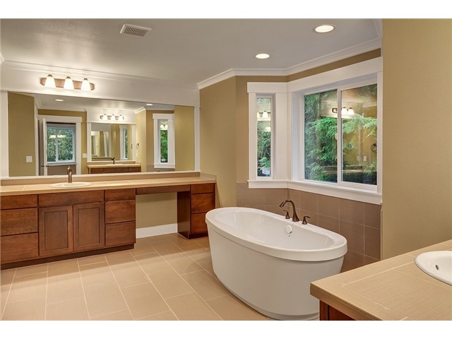 11028 Home Master Bathroom Interior Image